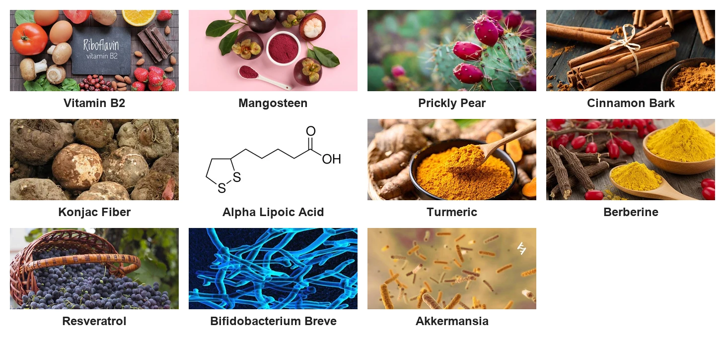 VitaliSlim ingredients